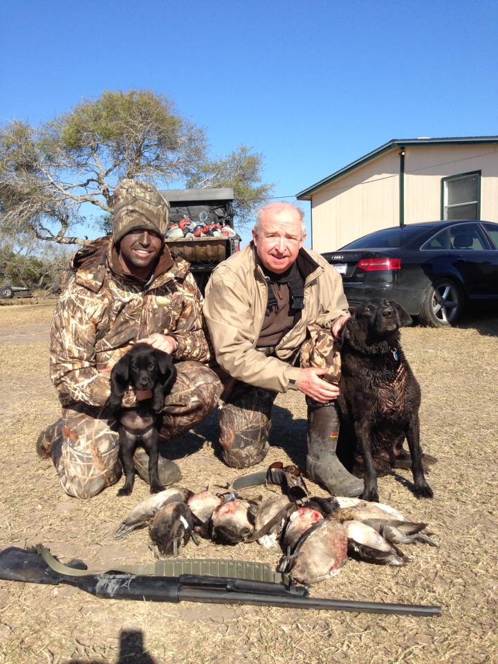 dove-hunting-duo-dogs
