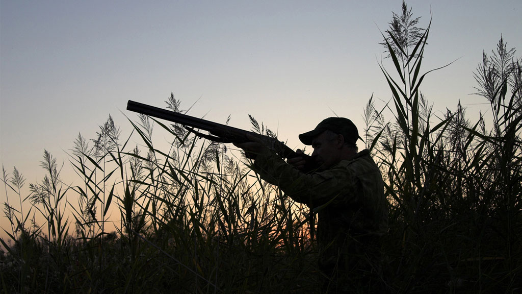 A silhouette of a hunter aiming his shotgun to the sky on a Texas Dove Hunting trip.